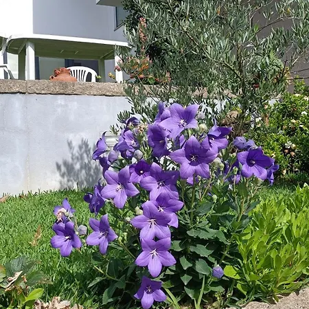 Ferienhaus Areias Village